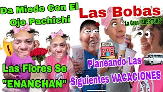 Da Miedo 😱Con El Ojo 👁️ Pachichi 👻Planeando Las Siguientes Vacaciones 😆🏨Las Flores Se Que🌹ENANCHARON [upl. by Ermey]