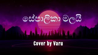 Sepalika Malai සේපාලිකා මලයි  Cover by Varu music trending sepalikamalai [upl. by Ylim342]