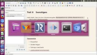 Insert references in Lyx with Jabref under Ubuntu 1604 [upl. by Abigale]