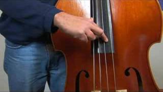 Upright Bass for Beginners  Playing Upright Bass Pizzicato With Fingers [upl. by Zinah]