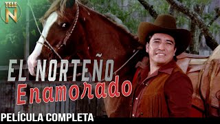 El Norteño Enamorado 1979  Tele N  Película Completa  Cornelio Reyna [upl. by Gimpel]