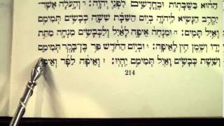 Haftorah Haftarah Parsha Hachodesh Rabbi Weisblum קריאת הפטרה שבת החודש [upl. by Harlan]