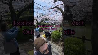 Odawara Castle just outside Tokyo near the water discoverjapan traveljapan [upl. by Hardie]