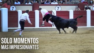 Espectacular pelea de toros pelea a muerte [upl. by Aeht]