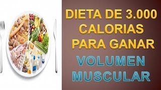 Dieta Para Aumentar La Masa Muscular  Dieta 3000 Kcal [upl. by Howes]