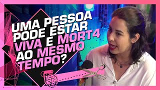 CIENTISTA EXPLICA O QUE É GATO DE SCHRÖDINGER  GABRIELA BAILAS FÍSICA E AFINS [upl. by Wynne]