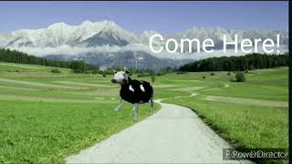 Polish Cow Animation Part 1 [upl. by Trip]