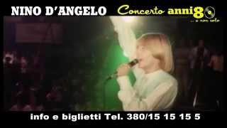 NINO DANGELO  CONCERTO ANNI 80e non solo  7 Novembre [upl. by Zorina]