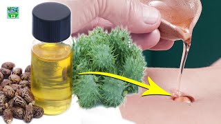 What Are The Surprising Benefits Of Applying Castor Oil In Belly Button [upl. by Cesaria]