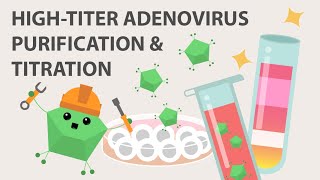 Hightiter Adenovirus and Titration [upl. by Seek269]