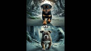 Rottweiler Puppy vs Pitbull puppy  German Shepherd Husky Doberman labrador retriever Pointer [upl. by Ohaus]