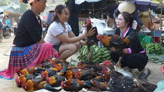 2 year living in forest  The most beautiful flock of wild chickens in market sold out in 5 minutes [upl. by Niobe]