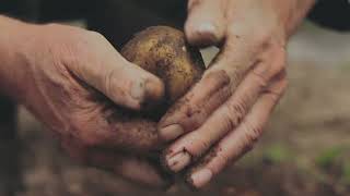 Lethbridge County Where roots run deep and the future is bright [upl. by Hellman]