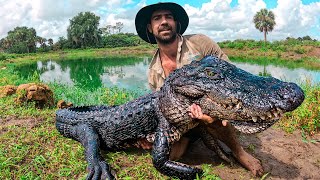 GIANT GATOR Catch Clean amp Cook [upl. by Mcnelly]