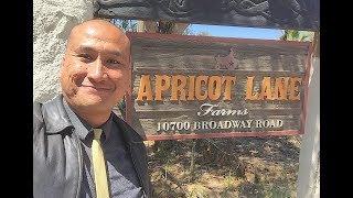 Touring Apricot Lane Farms in Moorpark CA  THE BIGGEST LITTLE FARM Docu [upl. by Kennard28]