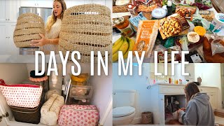 VLOG trader joes fall haul new home decor cleaning etc [upl. by Vassaux]