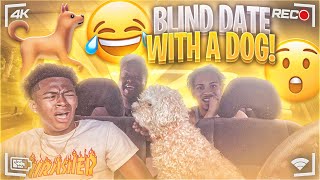 I PUT MY BRO ON A BLIND DATE WITH A DOG HILARIOUS [upl. by Alegna612]