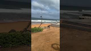 Kovalam Beach Thiruvanantapuram [upl. by Harald409]