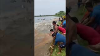 கொண்டை வலையில் மானாவாரியான மீன் fishing fish fishingvideo [upl. by Charbonneau74]