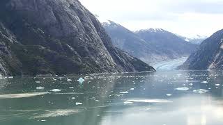 Endicott Arm 26AUG24 [upl. by Frieda591]