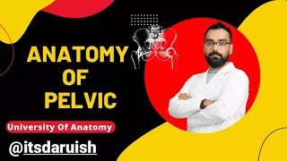 Anatomy of Pelvicpart1آموزش آناتومی لگن جلسه اول [upl. by Kwok]