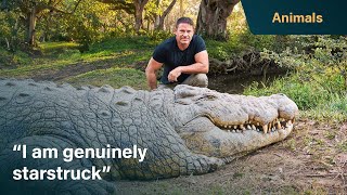 Meet Henry the worlds oldest crocodile  Killer Crocs with Steve Backshall [upl. by Anaerb669]