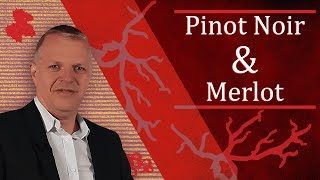 Les avantages de lassemblage Pinot Noir amp Merlot [upl. by Inajar]