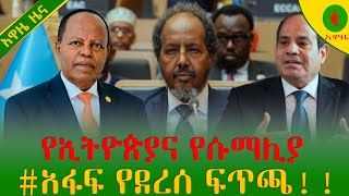 Alemneh wase የኢትዮጵያና የሱማሊያ አፋፍ የደረሰ ፍጥጫ [upl. by Anam208]