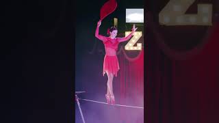 Zippos Circus 2024 – Magnificent video 6 [upl. by Anha251]