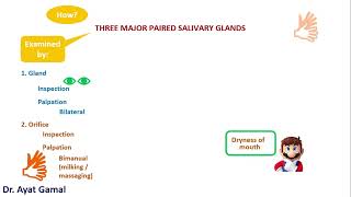 III Salivary glands examining dryness of the mouth [upl. by Tychon23]