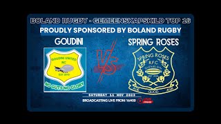 Goudini vs Spring Roses  Gemeenskap skild [upl. by Savdeep391]