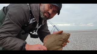 Flattie Bashing at Hoylake Beach  Wirral [upl. by Nuoras159]