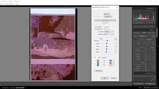 Negative Lab Pro vs Epson V700 vs Noritsu Lab scan [upl. by Leizo]