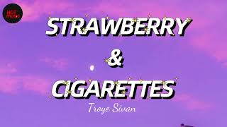 Troye Sivan  Strawberry and Cigarettes [upl. by Sueahccaz792]