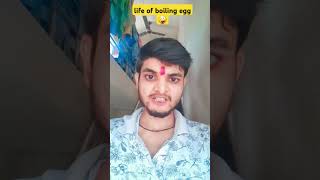 मालिक उबल गये हैं हम लोग। life of boiling egg🥚 comedy egg short youtubeshorts thetharpuns [upl. by Oiramd]