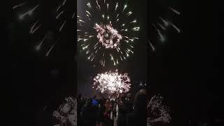 Wellington 2023 Fireworks Display [upl. by Aleit107]