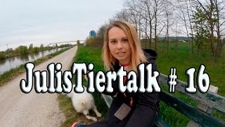 JulisTiertalk 16 Welpe will nicht Gassi gehen  Urlaub mit Hund  Hund und Katze mögen sich nicht [upl. by Zadack]