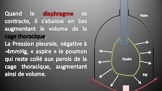 Kinésithérapie Respiratoire 2  La Ventilation Pulmonaire [upl. by Anuahs]