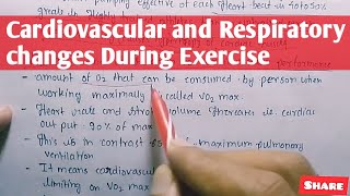 Cardiovascular and respiratory changes during exercise  physiology [upl. by Akiem]