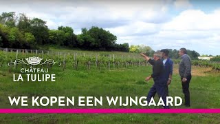 We kopen een wijngaard [upl. by Affra930]