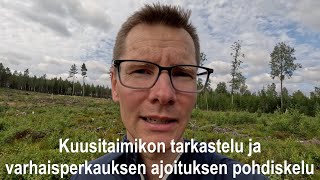 Kuusitaimikon tarkastelu ja varhaisperkaustarpeen ajoituksen pohdiskelu [upl. by Humble]