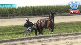 Tour de cour chez Marco SMORGON  A2TURFCOM [upl. by Eldnar13]