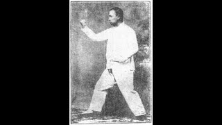 Zuan Quan Xingyiquan Fighting Techniques Vol 1 [upl. by Anyaj]