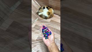 Crystal beads jumping reverse reversevideo shortsfeed asmr [upl. by Spencer]