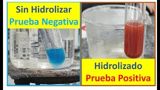 Prueba de Fehling para Almidón Hidrolizado y sin Hidrolizar [upl. by Cherise]