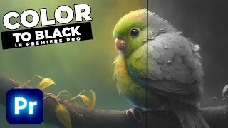 COLOR To BLACK And WHITE Transition Tutorial In Premiere Pro [upl. by Christean]