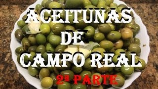 ACEITUNAS AL ESTILO CAMPO REAL 2ªPARTE [upl. by Nnylidnarb903]