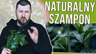 MYDLNICA LEKARSKA  zrobisz z niej naturalne kosmetyki a nawet szampon i nie tylko [upl. by Nitsirc462]