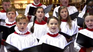 St Fin Barres Cathedral Choir [upl. by Aihselat99]