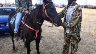 A Mississippi Horse Race [upl. by Icyaj989]